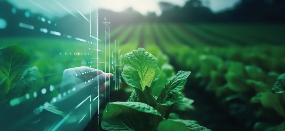 Industry expertise - Agritech